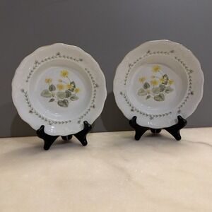 Set of 2 Tienshan Fine China "Floriade" Rimmed Soup Pasta Salad Bowls Floral